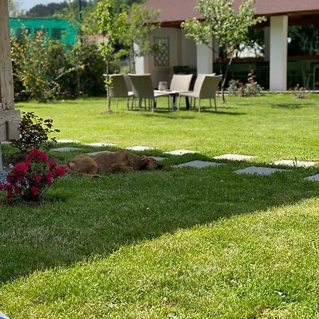 Anahouse Guest house Viseu de Sus