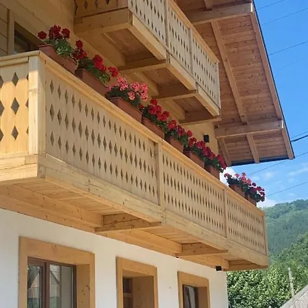 Anahouse Guest house *